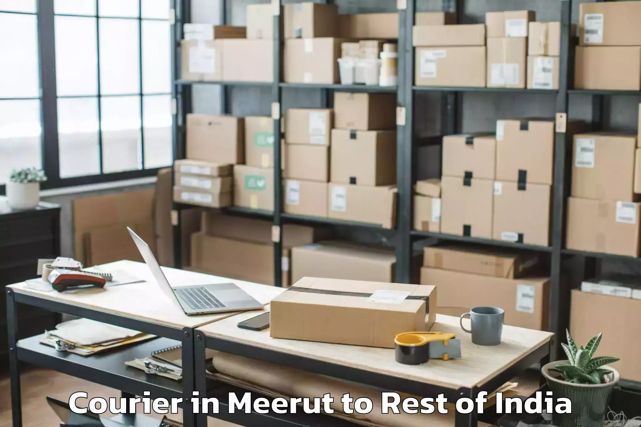 Reliable Meerut to Husainganj Courier